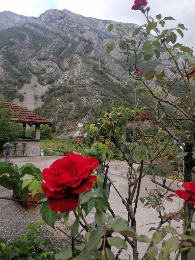 Visit Dreznica Villa Mostar Luaran gambar